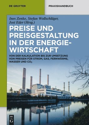 bokomslag Preise Und Preisgestaltung in Der Energiewirtschaft