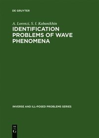 bokomslag Identification Problems of Wave Phenomena