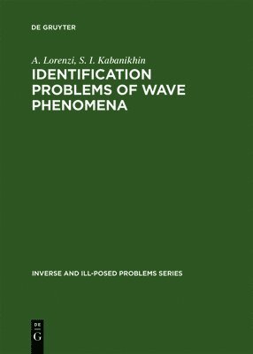 Identification Problems of Wave Phenomena 1