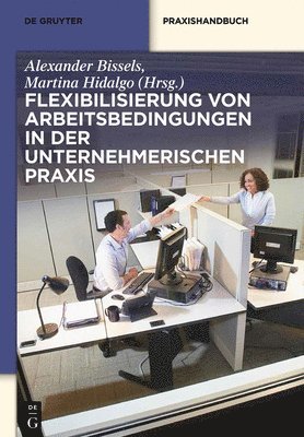 bokomslag Flexibilisierung Von Arbeitsbedingungen in Der Unternehmerischen PRAXIS