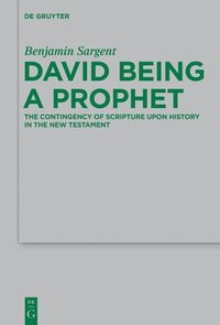 bokomslag David Being a Prophet