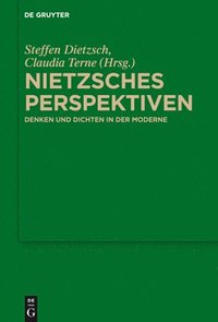 bokomslag Nietzsches Perspektiven