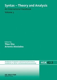 bokomslag Syntax - Theory and Analysis. Volume 3