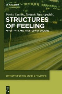 bokomslag Structures of Feeling