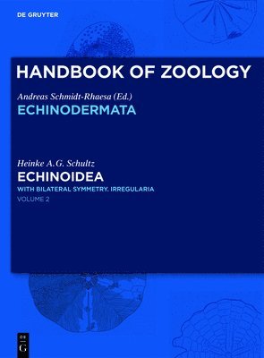 Echinoidea 1