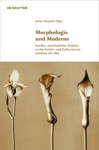 bokomslag Morphologie und Moderne