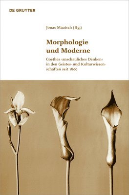 Jonas Maatsch - Morphologie und Moderne, Inbunden