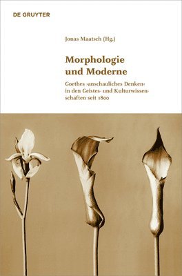 Morphologie und Moderne 1