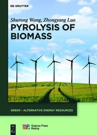 bokomslag Pyrolysis of Biomass
