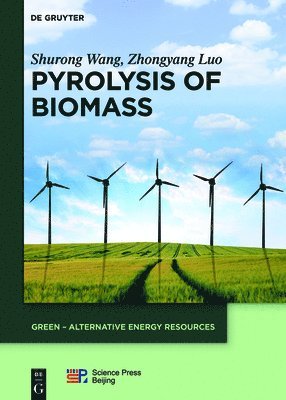 Shurong Wang, Zhongyang Luo, Wang China Science Publishing &amp; Medi - Pyrolysis of Biomass, Inbunden