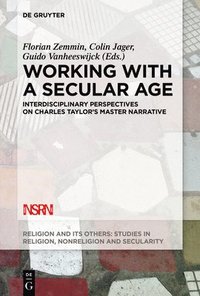 bokomslag Working with A Secular Age