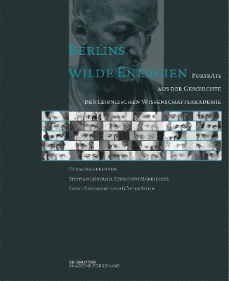 bokomslag Berlins Wilde Energien