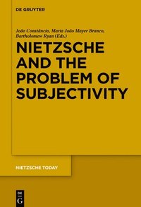 bokomslag Nietzsche and the Problem of Subjectivity