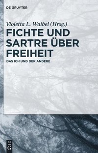 bokomslag Fichte und Sartre ber Freiheit