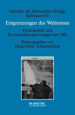 Heinz-Peter Schmiedebach - Entgrenzungen des Wahnsinns, Inbunden