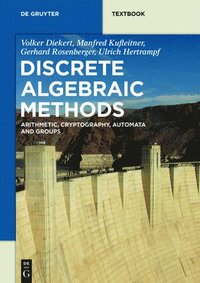 bokomslag Discrete Algebraic Methods