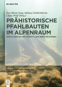 bokomslag Prahistorische Pfahlbauten im Alpenraum