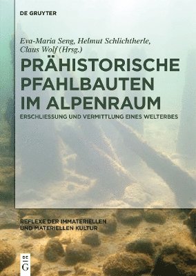 bokomslag Prähistorische Pfahlbauten im Alpenraum