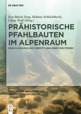 bokomslag Prhistorische Pfahlbauten im Alpenraum