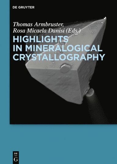 bokomslag Highlights in Mineralogical Crystallography