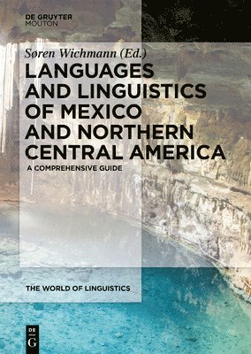 bokomslag The Languages and Linguistics of Mexico and Northern Central America