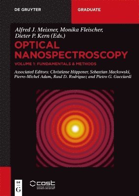 Alfred J. Meixner, Monika Fleischer, Dieter P. Kern, Christiane Höppener, Sebastian Mackowski, Pierre-Michel Adam, Raul David Rodriguez, Pietro G. Gucciardi - Fundamentals & Methods, Häftad