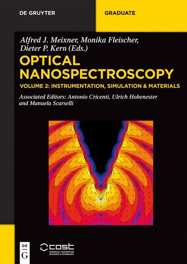 Alfred J. Meixner, Monika Fleischer, Dieter P. Kern, Antonio Cricenti, Ulrich Hohenester, Manuela Scarselli - Instrumentation, Simulation & Materials, Häftad
