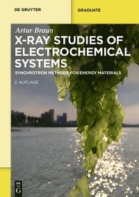 bokomslag X-Ray Studies on Electrochemical Systems