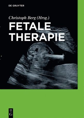 Christoph Berg, Christoph Bence Berg Csapo - Fetale Therapie, Inbunden