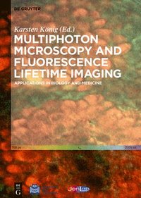 bokomslag Multiphoton Microscopy and Fluorescence Lifetime Imaging