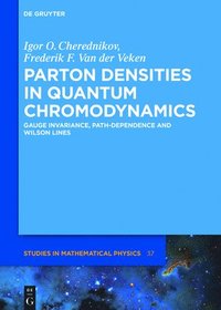 bokomslag Parton Densities in Quantum Chromodynamics