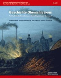 bokomslag Geschichte Oberschlesiens: Politik, Wirtschaft Und Kultur Von Den Anfängen Bis Zur Gegenwart