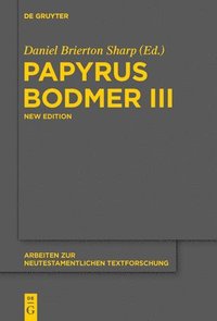 bokomslag Papyrus Bodmer III