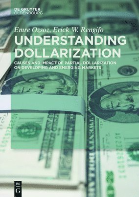 bokomslag Understanding Dollarization