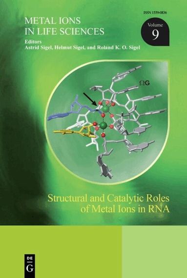 Astrid Sigel, Helmut Sigel, Roland K.O. Sigel - Structural and Catalytic Roles of Metal Ions in RNA, Inbunden