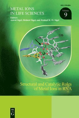 bokomslag Structural and Catalytic Roles of Metal Ions in RNA