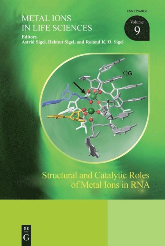 Astrid Sigel, Helmut Sigel, Roland K.O. Sigel, Roland K. O. Sigel - Structural and Catalytic Roles of Metal Ions in RNA, Inbunden