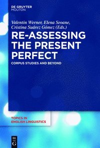 bokomslag Re-assessing the Present Perfect