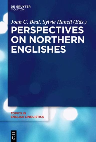 Sylvie Hancil, Joan C. Beal - Perspectives on Northern Englishes, Inbunden