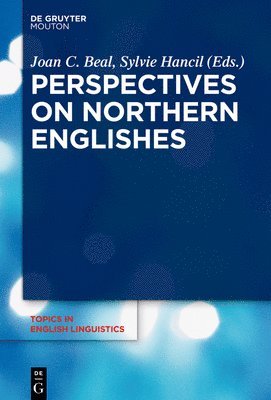 bokomslag Perspectives on Northern Englishes