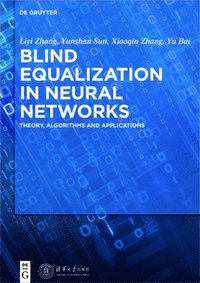 bokomslag Blind Equalization in Neural Networks