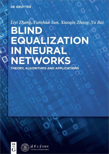 bokomslag Blind Equalization in Neural Networks