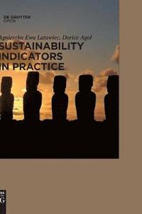 bokomslag Sustainability Indicators in Practice