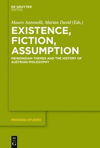bokomslag Existence, Fiction, Assumption