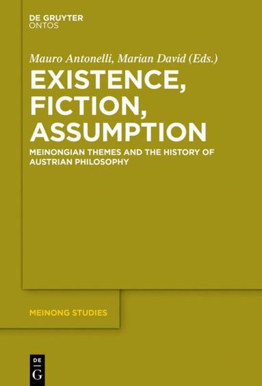 Mauro Antonelli, Marian David - Existence, Fiction, Assumption, Inbunden