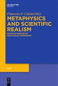 bokomslag Metaphysics and Scientific Realism