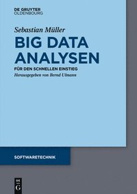 bokomslag Big Data Analysen