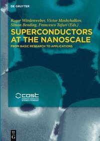 bokomslag Superconductors at the Nanoscale