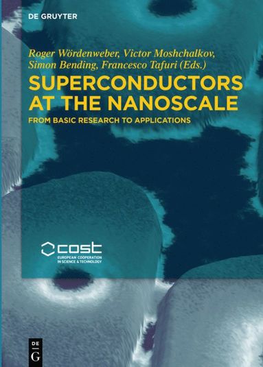 bokomslag Superconductors at the Nanoscale