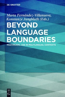 bokomslag Beyond Language Boundaries